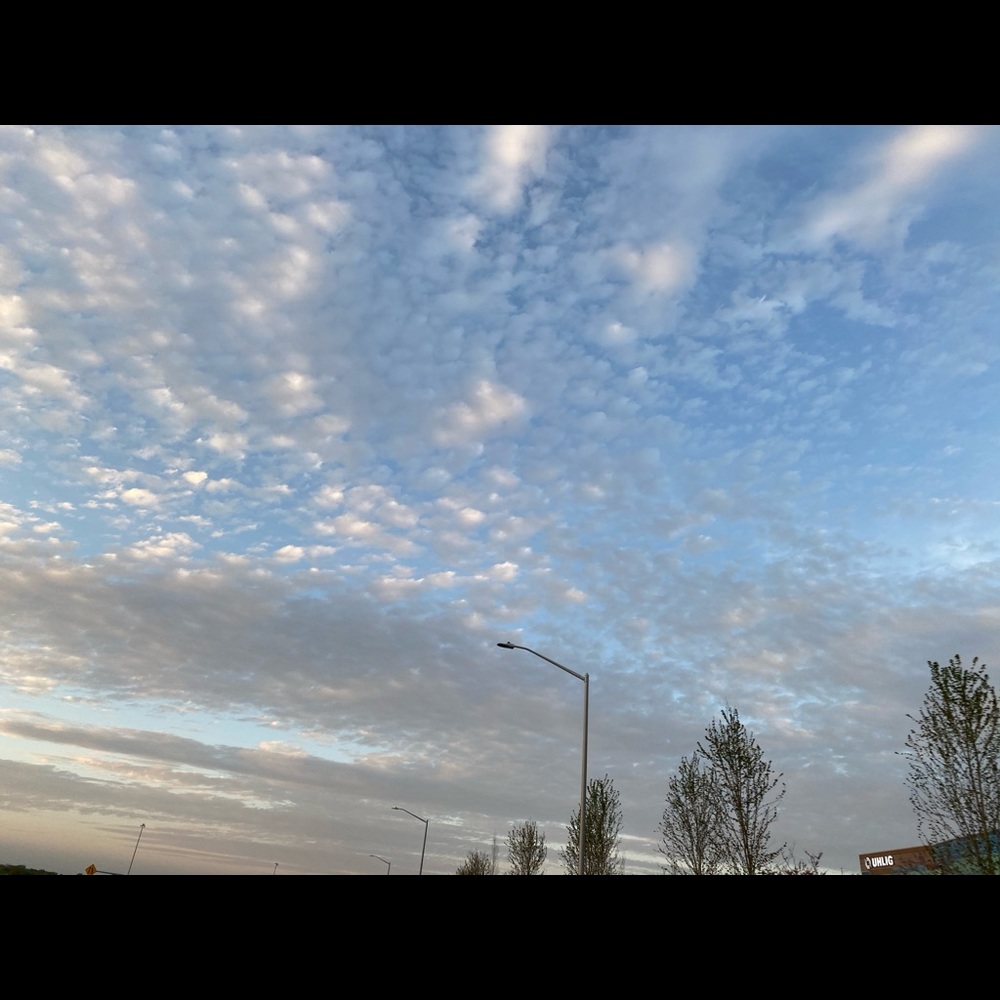 Meet your Posher, Macy